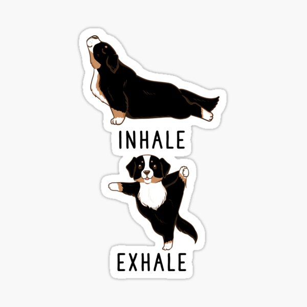 Inhale Exhale Bernese Mountain Dog Yoga Sticker