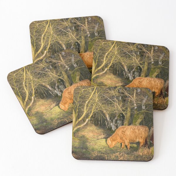 Item preview, Highland Cows in Woodland designed and sold by Jane Stanley Photography.