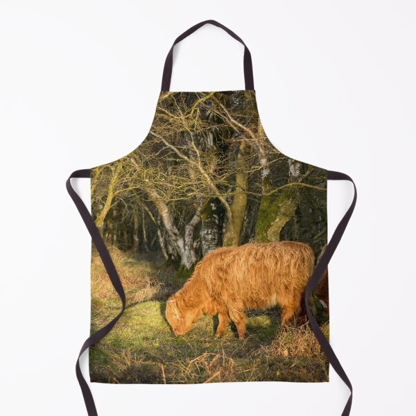 Item preview, Highland Cows in Woodland designed and sold by Jane Stanley Photography.