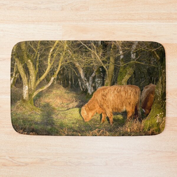 Item preview, Highland Cows in Woodland designed and sold by Jane Stanley Photography.
