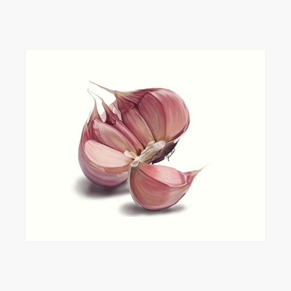Item preview, Garlic  designed and sold by SapphireArt6.