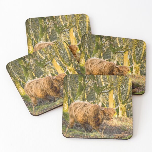 Item preview, Highland Cow in Woodland designed and sold by Jane Stanley Photography.