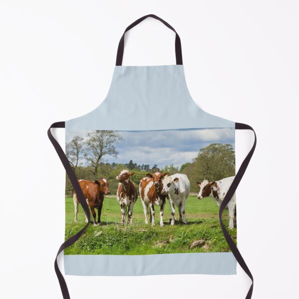 Item preview, Ayrshire Cows designed and sold by Jane Stanley Photography.