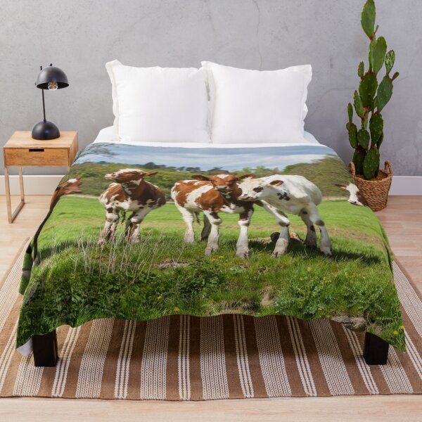 Aperçu de l'œuvre Vaches Ayrshire créée et vendue par JStanley19.
