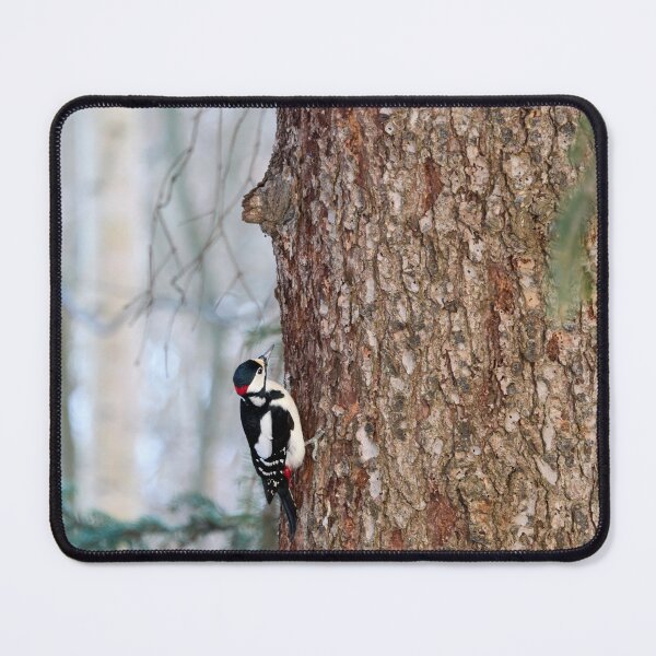 Item preview, Up is the way. Great spotted woodpecker designed and sold by Jouko Lehto Photography.