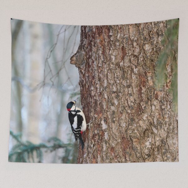 Item preview, Up is the way. Great spotted woodpecker designed and sold by Jouko Lehto Photography.