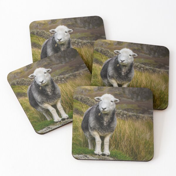 Item preview, Herdwick Sheep designed and sold by Jane Stanley Photography.