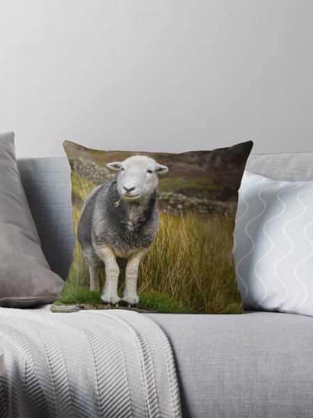 Item preview, Herdwick Sheep designed and sold by JStanley19.