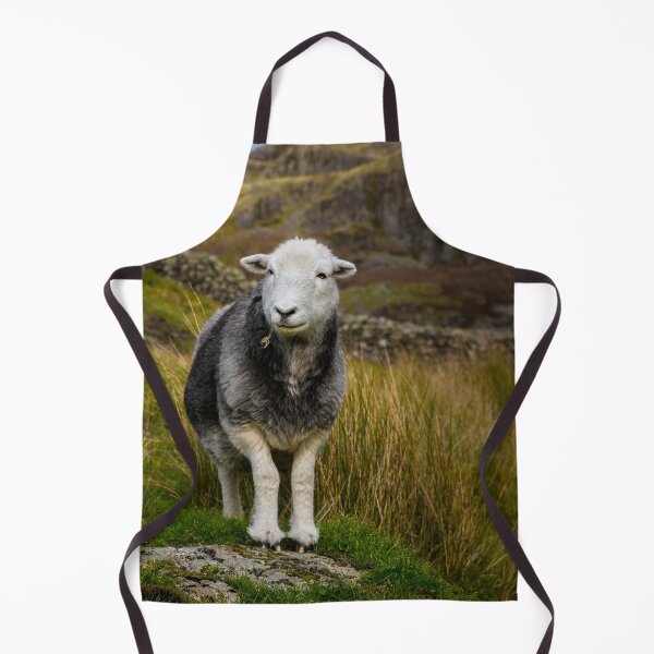 Item preview, Herdwick Sheep designed and sold by Jane Stanley Photography.