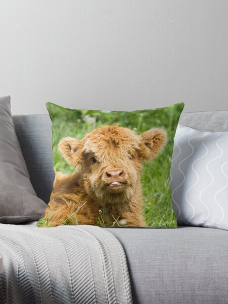 Item preview, Cheeky Moo, Highland Cow designed and sold by JStanley19.