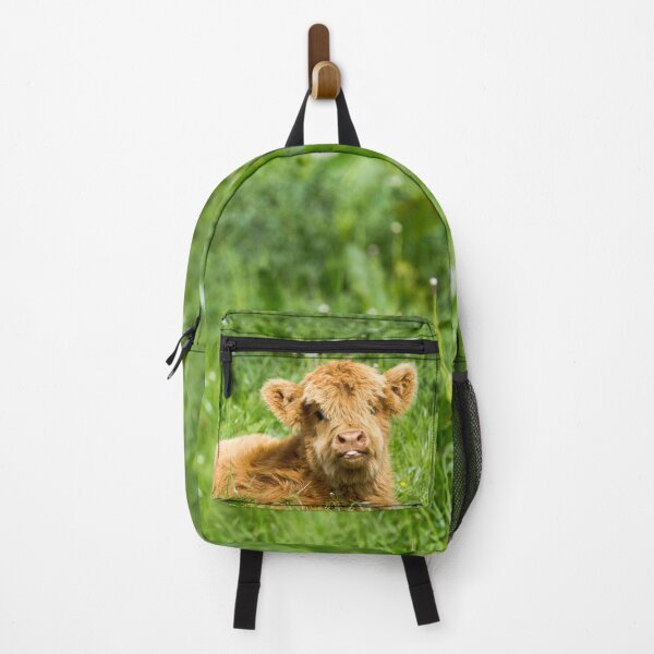 Item preview, Cheeky Moo, Highland Cow designed and sold by Jane Stanley Photography.