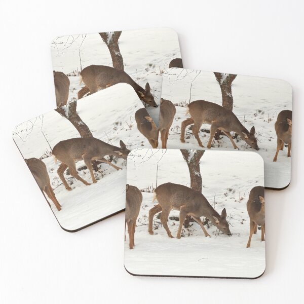 Item preview, Left or right ok. Roe deer designed and sold by Jouko Lehto Photography.