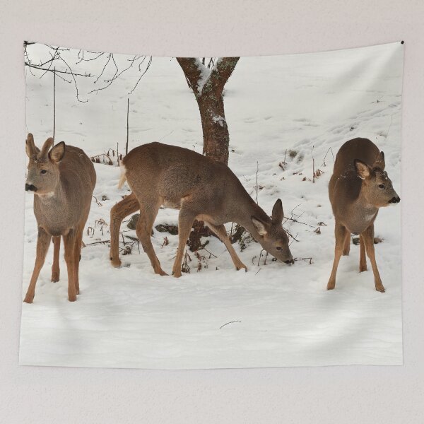 Item preview, Left or right ok. Roe deer designed and sold by Jouko Lehto Photography.