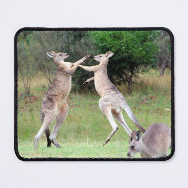 Item preview, Two Kangaroos having a fight and discussion designed and sold by BirdsAlive.
