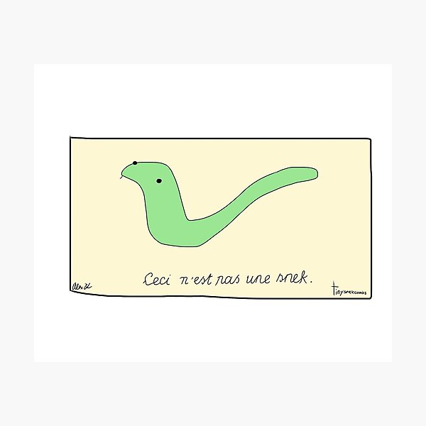 Ceci n'est pas une Snek Photographic Print