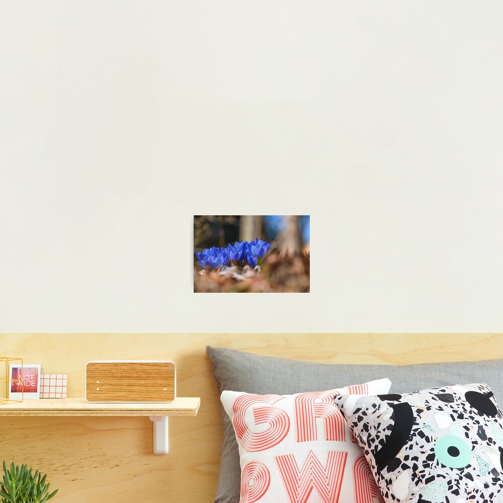 Item preview, Photographic Print designed and sold by creefot.