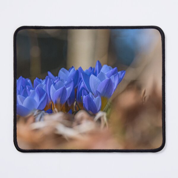 Item preview, Spring Awakening designed and sold by creefot.