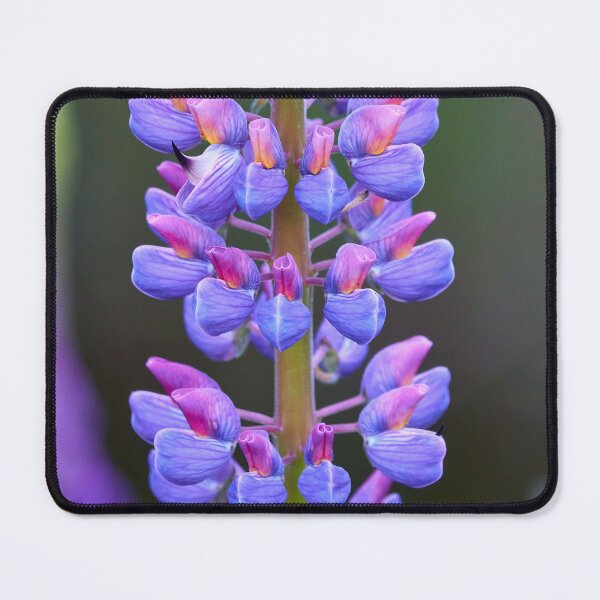 Item preview, Lupin designed and sold by Curtis Sheppard.
