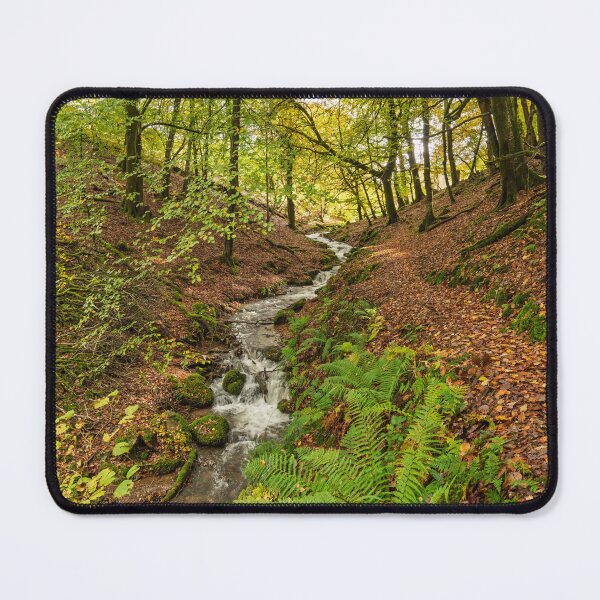Item preview, Stream in Autumn Woodland designed and sold by Craig Joiner.