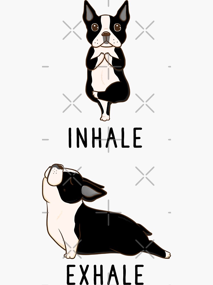 Discover Inhale Exhale Boston Terrier Yoga Sticker
