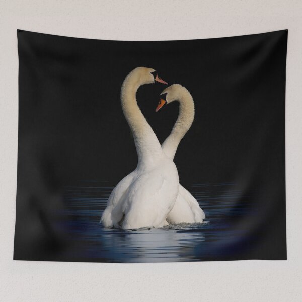 Item preview, Swans hugging  designed and sold by Md1982.
