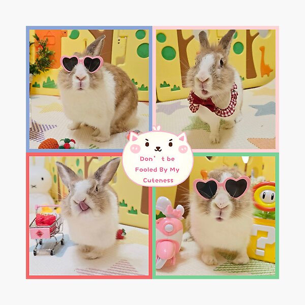 Item preview, Muffin Bunny Glasses cute designed and sold by CupWa.