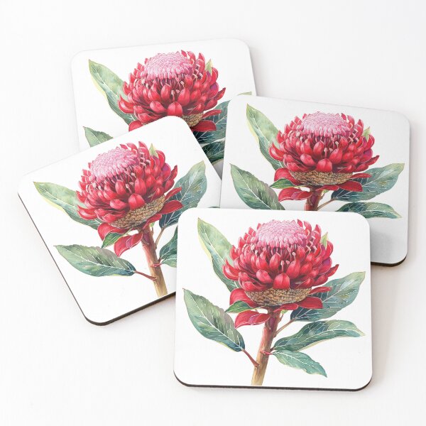Item preview, Native Australian Flora, Flower, Waratah (Telopea speciosissima) designed and sold by PapuruDesigns.