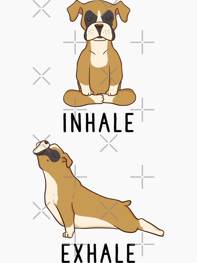 "Inhale Exhale Boxer Dog Yoga" Sticker for Sale by thepawster Redbubble