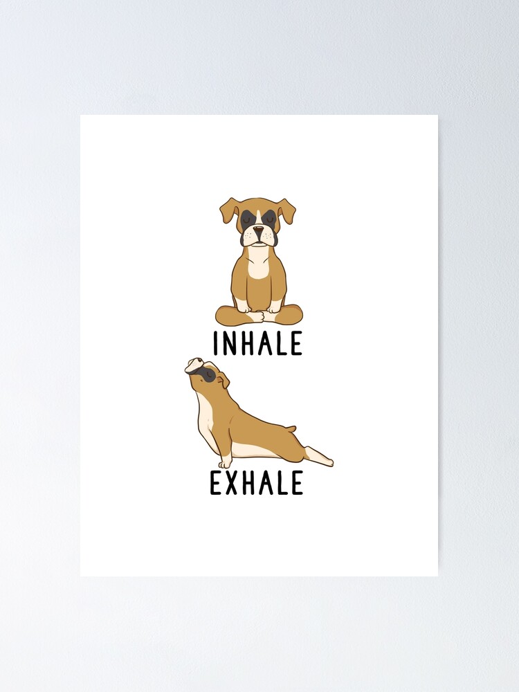"Inhale Exhale Boxer Dog Yoga" Poster by thepawster Redbubble