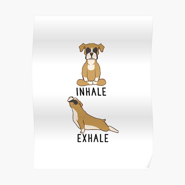"Inhale Exhale Boxer Dog Yoga" Poster by thepawster Redbubble