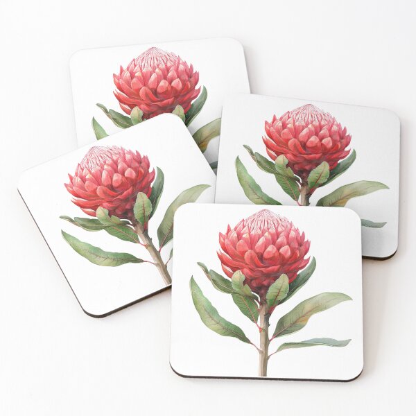 Item preview, Native Australian Flora, Flower, Waratah (Telopea speciosissima) designed and sold by PapuruDesigns.