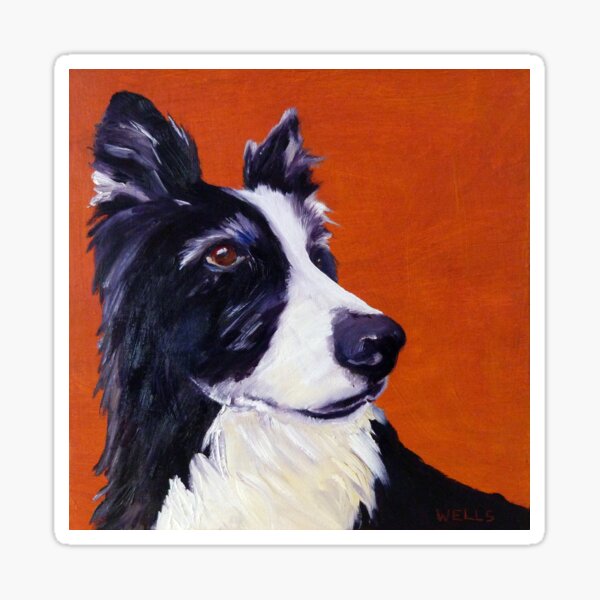 Border Collie Focus! Sticker