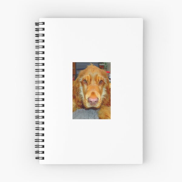 Item preview, Forever Friend designed and sold by Hazel Jones - Rhodes .