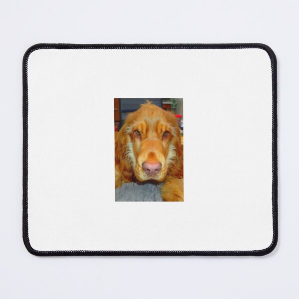 Item preview, Forever Friend designed and sold by Hazel Jones - Rhodes .