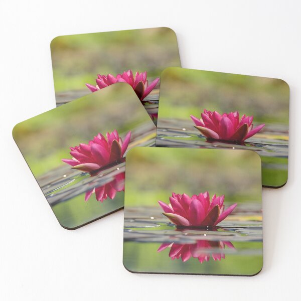 Item preview, Water Lily designed and sold by Made-by-Gus.