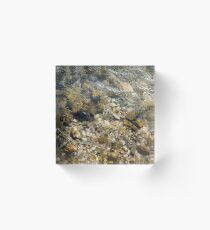 Riverbed Acrylic Block