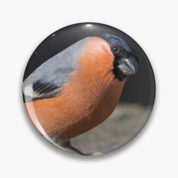 Item preview, Bullfinch designed and sold by LaurenTucker.