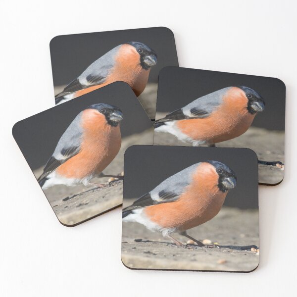 Item preview, Bullfinch designed and sold by LaurenTucker.