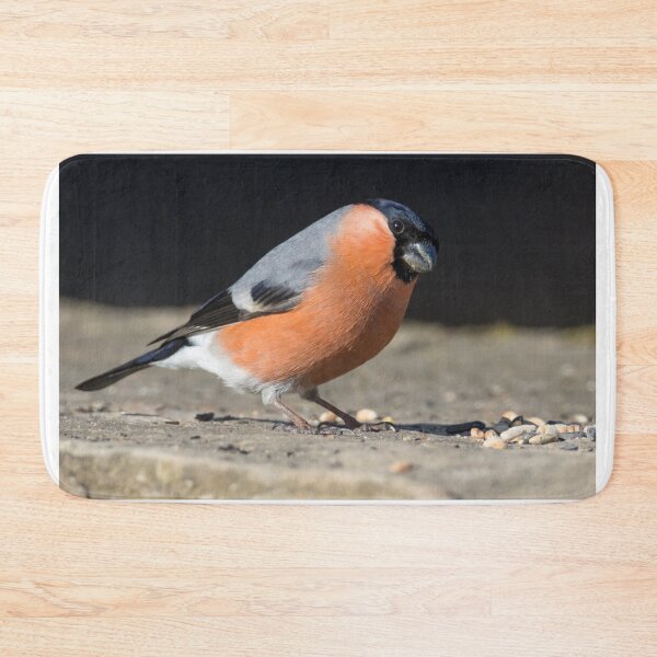 Item preview, Bullfinch designed and sold by LaurenTucker.
