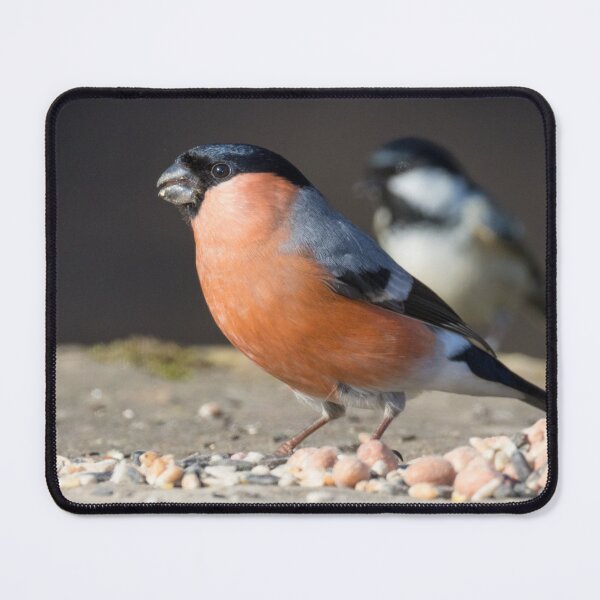 Item preview, Bullfinch designed and sold by LaurenTucker.