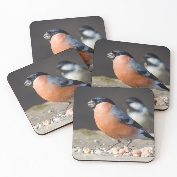 Item preview, Bullfinch designed and sold by LaurenTucker.
