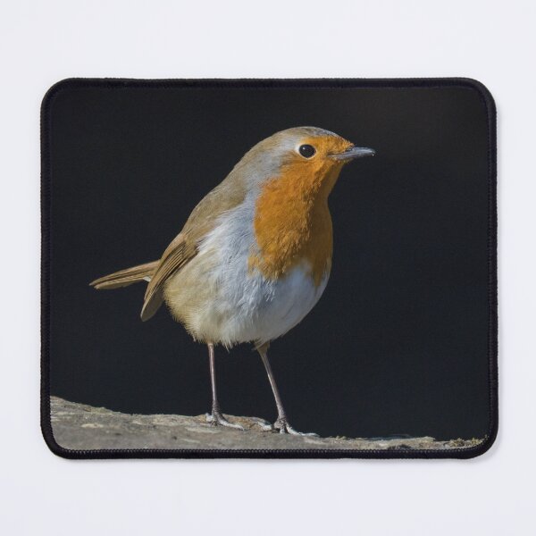 Item preview, Robin designed and sold by LaurenTucker.