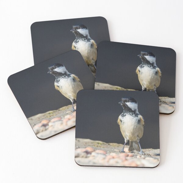Item preview, Coal Tit designed and sold by LaurenTucker.