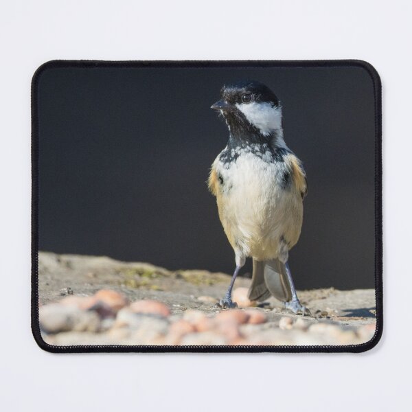 Item preview, Coal Tit designed and sold by LaurenTucker.