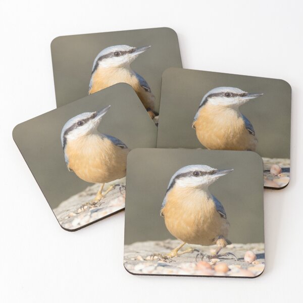 Item preview, Nuthatch designed and sold by LaurenTucker.