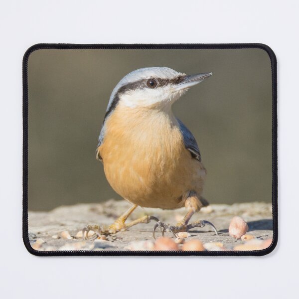 Item preview, Nuthatch designed and sold by LaurenTucker.