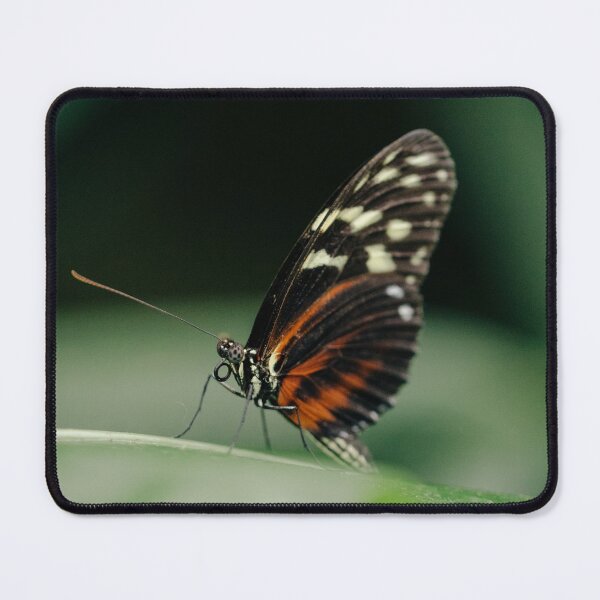 Item preview, Butterfly designed and sold by VolcanoMist.