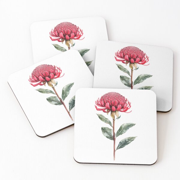 Item preview, Native Australian Flora, Flower, Waratah (Telopea speciosissima) designed and sold by PapuruDesigns.