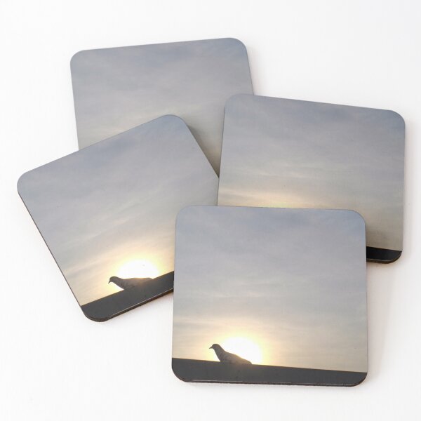 Item preview, photo Bird silhouette before sunset designed and sold by BARTISTA DESIGN.