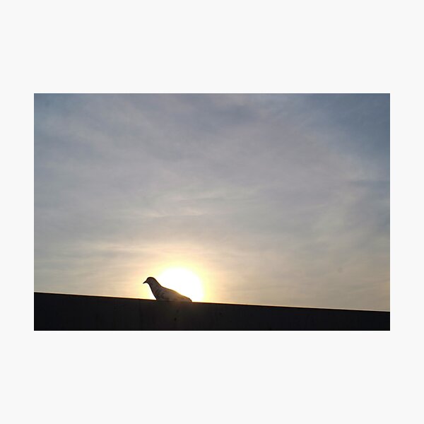Item preview, photo Bird silhouette before sunset designed and sold by BARTISTA DESIGN.